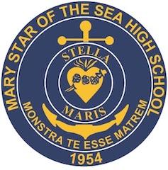 MSHS Logo